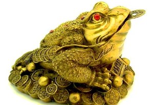 currency-the magic frog